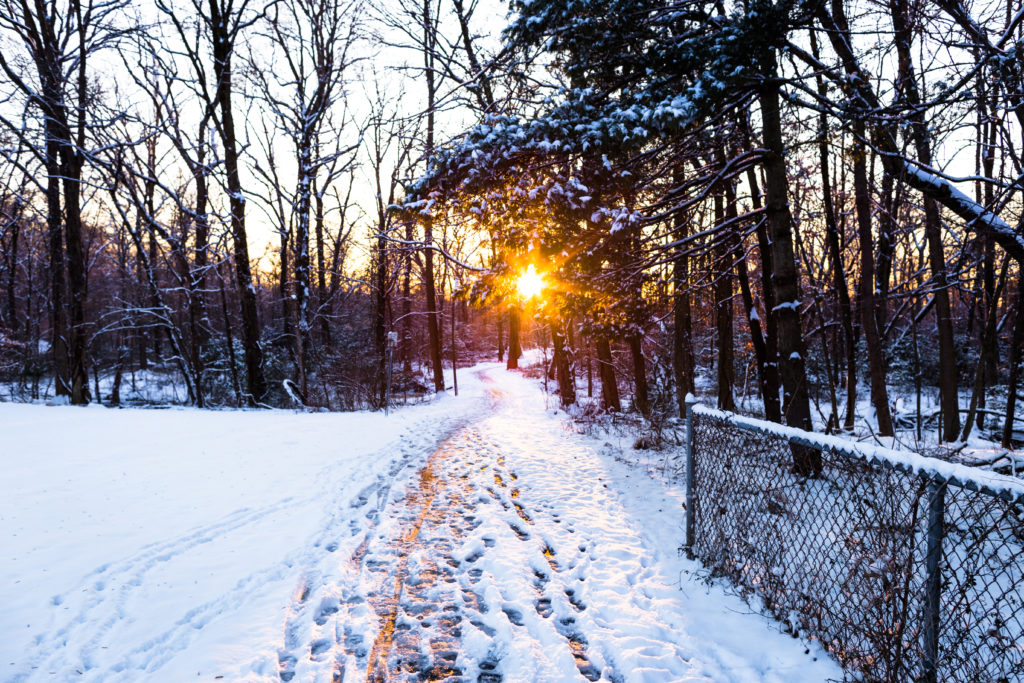 Low winter sun burning through bare trees over a snow-covered path in College Park, Maryland