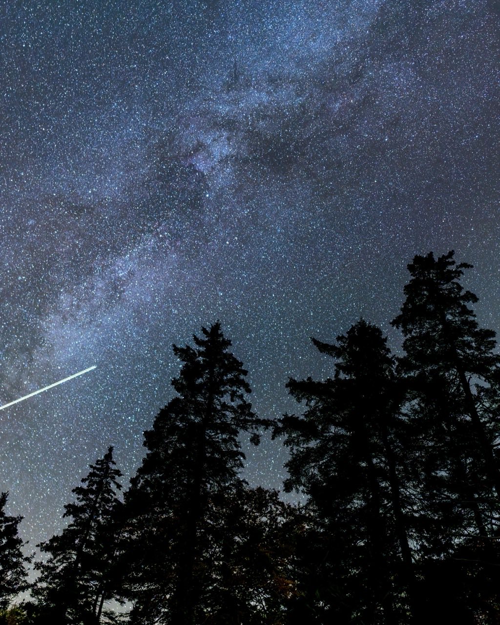The Milky Way over silhouetted pines in Acadia National Park, Maine